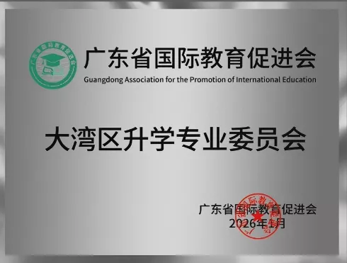 【业务范围】聚焦大湾区升学